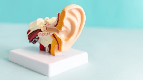 Understanding Hearing Loss - Types, Symptoms, Causes, and Treatment